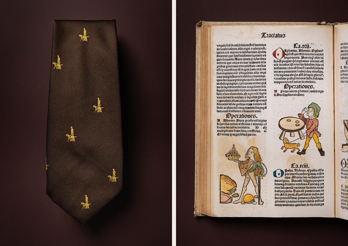 A photographic diptych. The image on the left shows a brown tie neatly folded.  There are small golden guide dogs and guide dog handlers seen from the side, appearing in a repeated pattern. The image on the right shows the left hand page of what appears to be a medieval book featuring Latin text and illustrations. On the bottom left of the page, there is a figure of a man holding a sword in one hand and a crown held out before him in the other. The figure of a man on the other side of the page shows him holding a small dog on a lead. He is stood by a table and holding something to his eye. Both illustrations are coloured with yellow, green and brown only. The figures are dressed in tights and tunics. The items appear on a plain brown background.