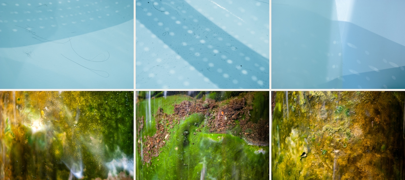 Photographic sextych made up of two rows of three images. The top row of images show close-up abstract images of a bathtub containing water and human hairs, soap and skin scum. The overall tone of the images is a light blue. Shadow lines and reflections cover the images. The bottom row of images show close-up underwater scenes from nature, rock, algae, fungal growth and plant life . The overall tones are greens, yellows, browns and oranges.