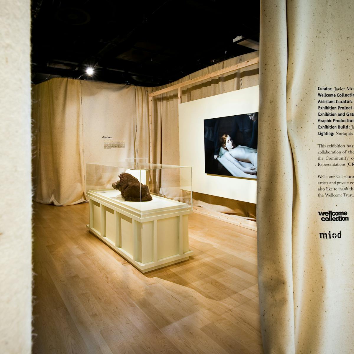 Photograph showing part of the exhibition, Skin, at Wellcome Collection.