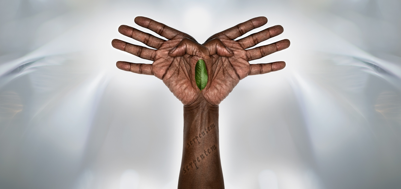 Digital montage artwork in which the forearm and hand of a Black person is vertically mirrored, the outstretched finders and tucked in thumbs forming the shape of an angel's wings. In the join between the hands sits a green leaf and wrapping around the forearm are the repeated word 'serpentem'. Behind the hands the refracted light on the background further suggests the presence of wings.