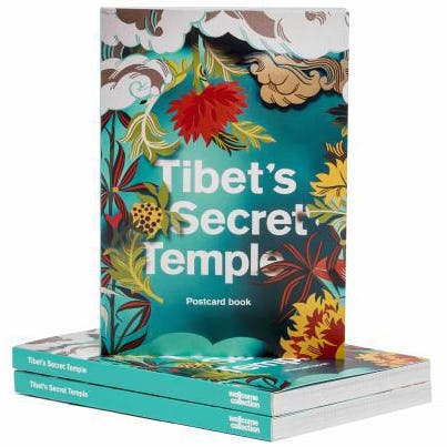 Book cover of Tibet's Secret Temple Postcard Book by 