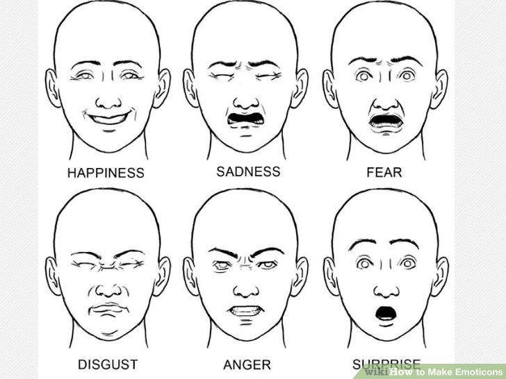 Line drawings of 6 bald human heads expressing the six emotions: happiness, sadness, fear, disgust, anger and surprise.