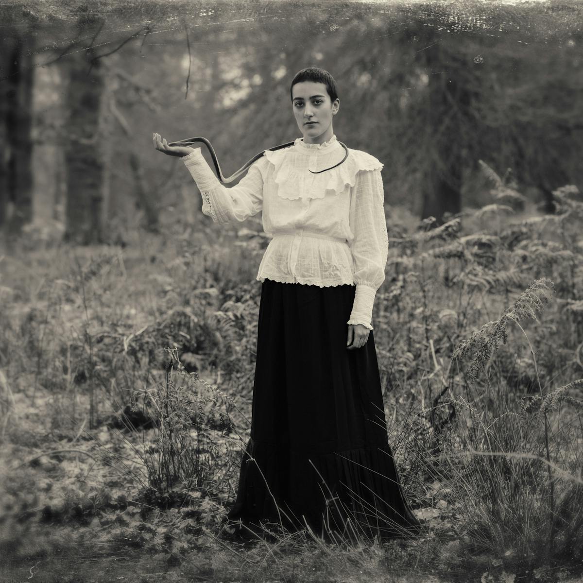 Sepia toned photograph with a digital filter applied to give the impression the photograph was created using a glass-plate process from the mid 19th century. The effect of this filter includes scratches and fingerprints. The photograph shows a woodland scene made up of tall grasses, bracken and distant trees. In the centre of the image stands a tall woman dressed in a black floor length skirt and a white blouse embellished with frills and large cuffs. She is looking straight to camera, her right arm is raised to her side, palm facing upwards. Wrapped around her neck and running over her shoulder and down to her open hand is a long dark toned snake. The centre of the frame is in sharp focus, but the edges descend quickly into a blur.