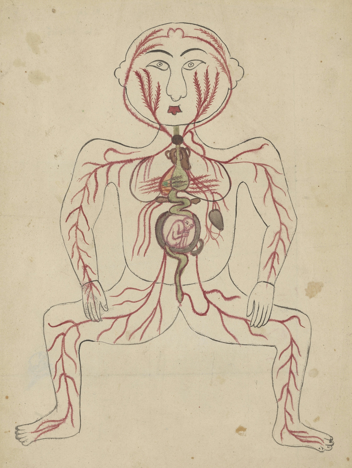 Colour drawing showing the outline of a woman face on, with the arteries and veins marked out in red, some of the vital organs, and a foetus in the centre of the body.