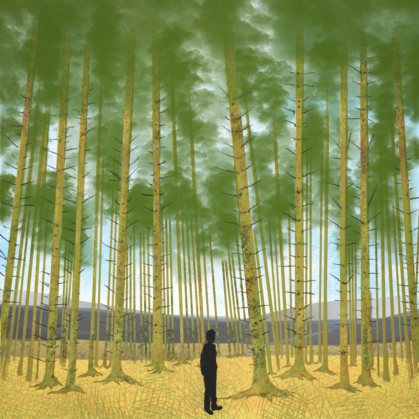 A digital illustration of an isolated figure within a tall forest. The figures is shown in silhouette and is dwarfed by the trees surrounding them, in the distance there are rolling hills across the horizon.