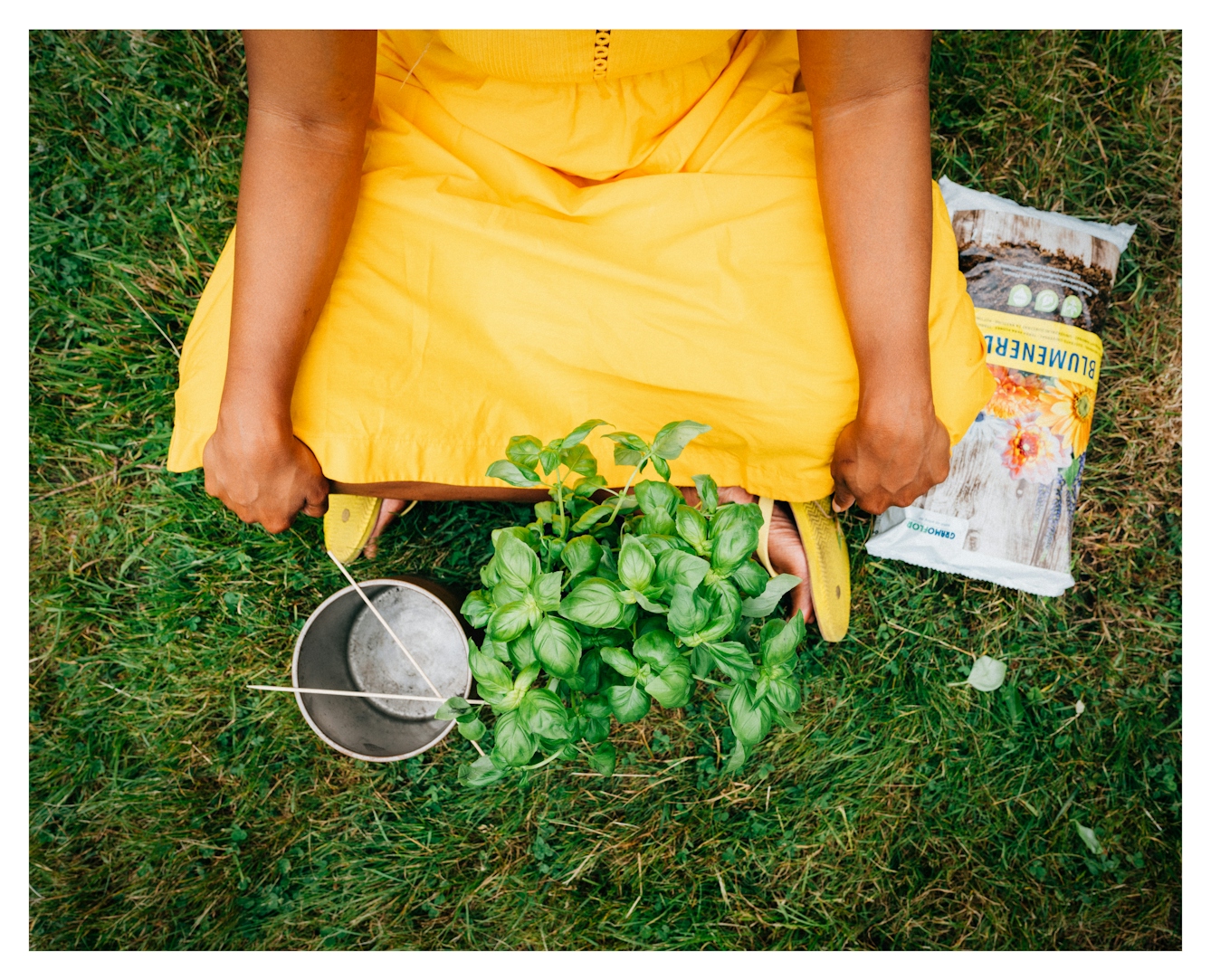 Colour photograph of the arms and legs of a woman wearing a long, flowing yellow dress and sitting cross-legged on some grass. Her hands are placed on her knees and she is wearing yellow flip flops. She is sat in front of a basil plant and an empty metallic pot. There is a sealed plastic bag of compost to her left. 
