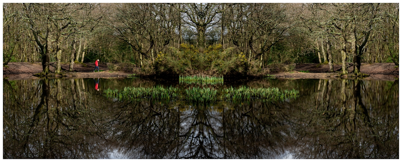 Photographic panorama showing a woodland scene with trees and water. The panorama is mirrored down its vertical centre line except that a small human figure in the distance wearing a red coat and cap appears in the left half, but not in the right half.