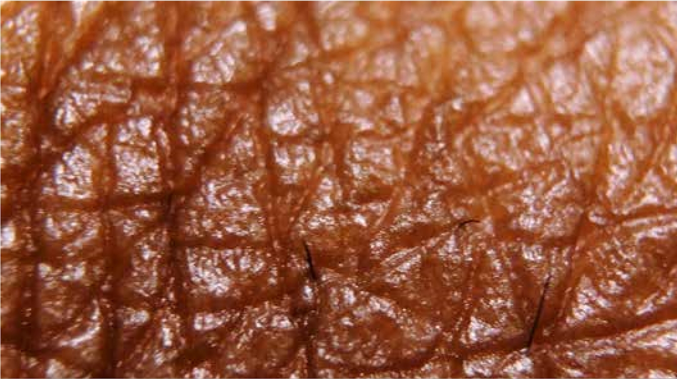 An extreme close up of the surface of human skin, showing the uneven surface and tiny hairs.