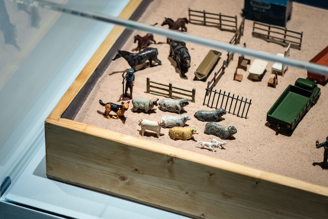 Photograph of the corner of a wooden box tray within an exhibition display case, filled with sand. On the sand are arranged small models of farmyard animals, fences and vehicles. 