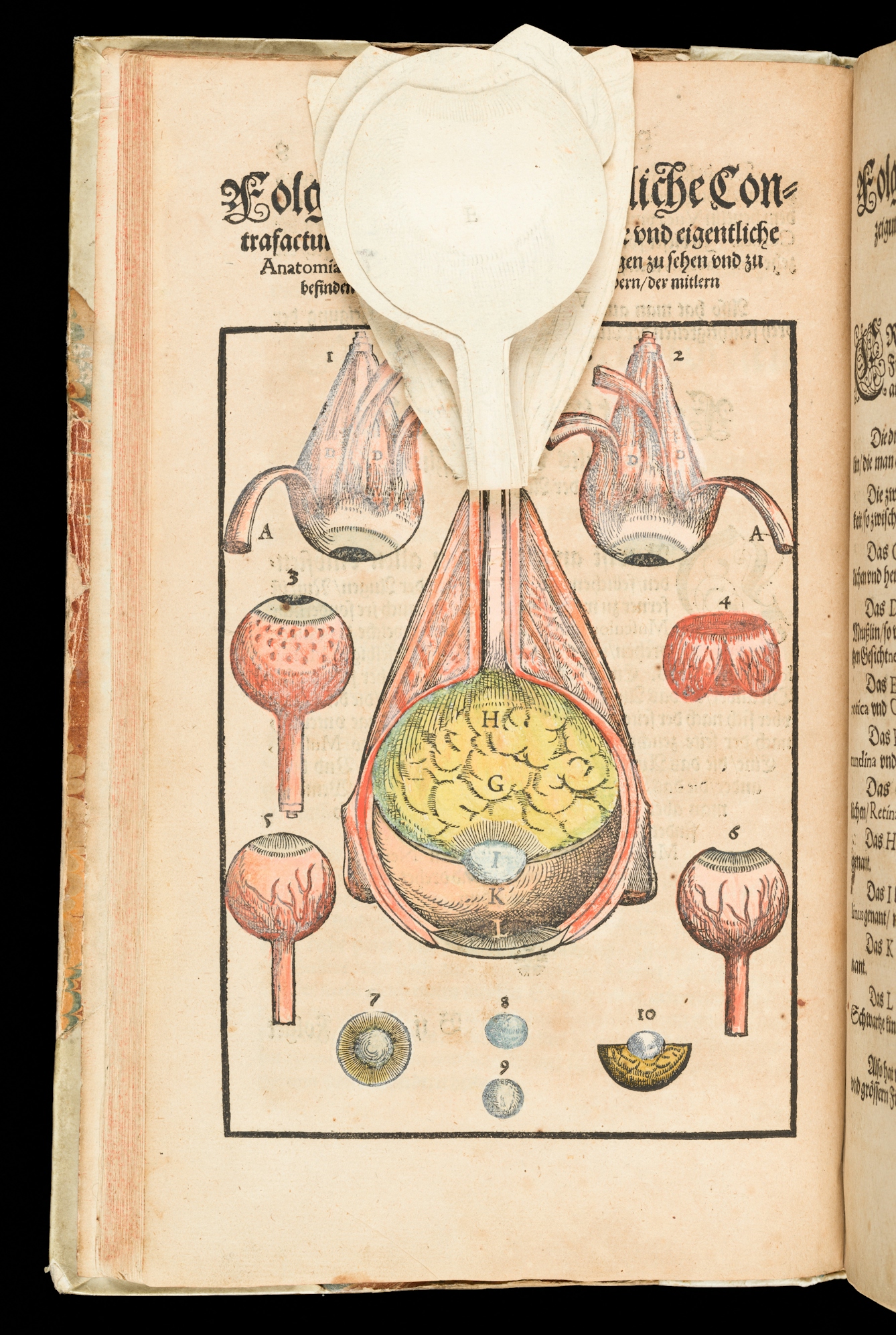 Photograph of a page from a 16th century book showing a coloured engraving of the cross section of a human eye. The diagram of the eye has several layers made up of cut flaps, some of which are flapped open.