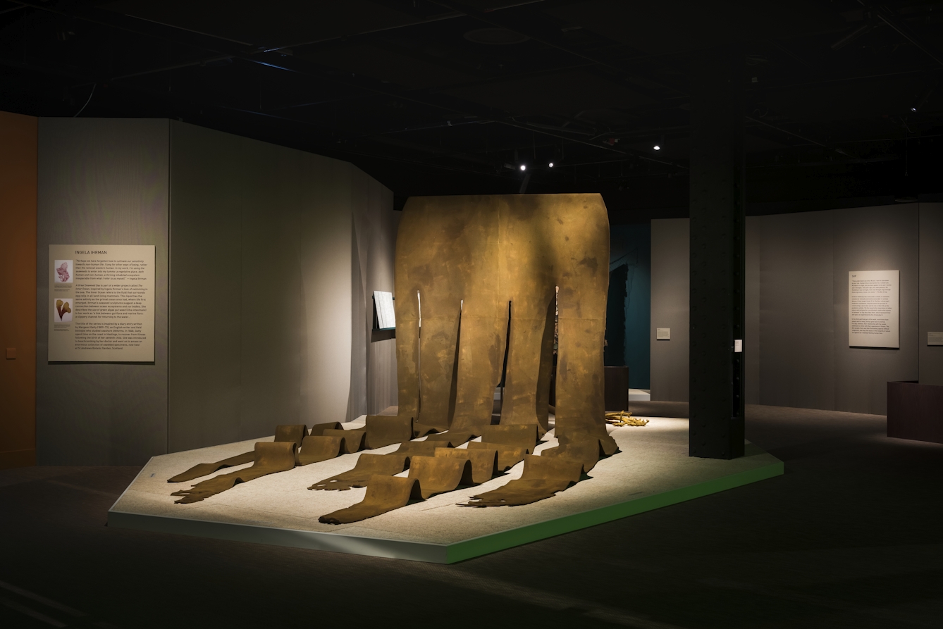 Photograph of a large sculpture of seaweed hanging up with five tendril-like pieces undulating across the floor. 