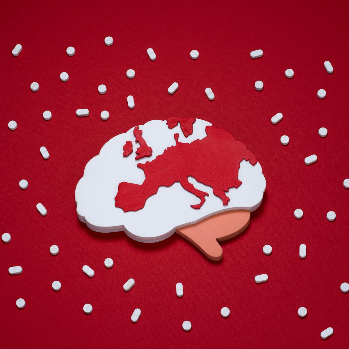 Photograph of a white brain shaped block on a red background. Cut into the brain is a map featuring Central Europe and the UK. Surrounding the object are a series of white pill like objects.