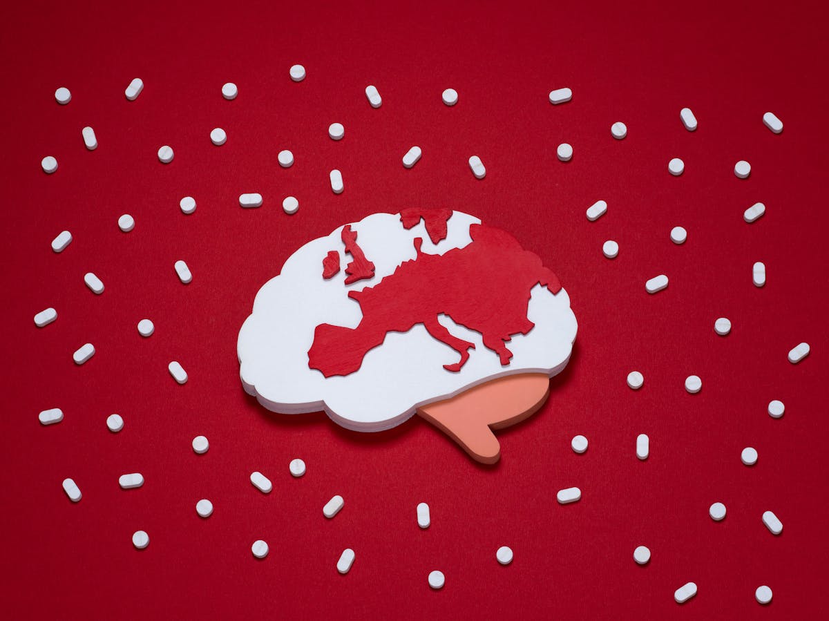 Photograph of a white brain shaped block on a red background.  Cut into the brain is a map featuring Central Europe and the UK.  Surrounding the object are a series of white pill like objects.