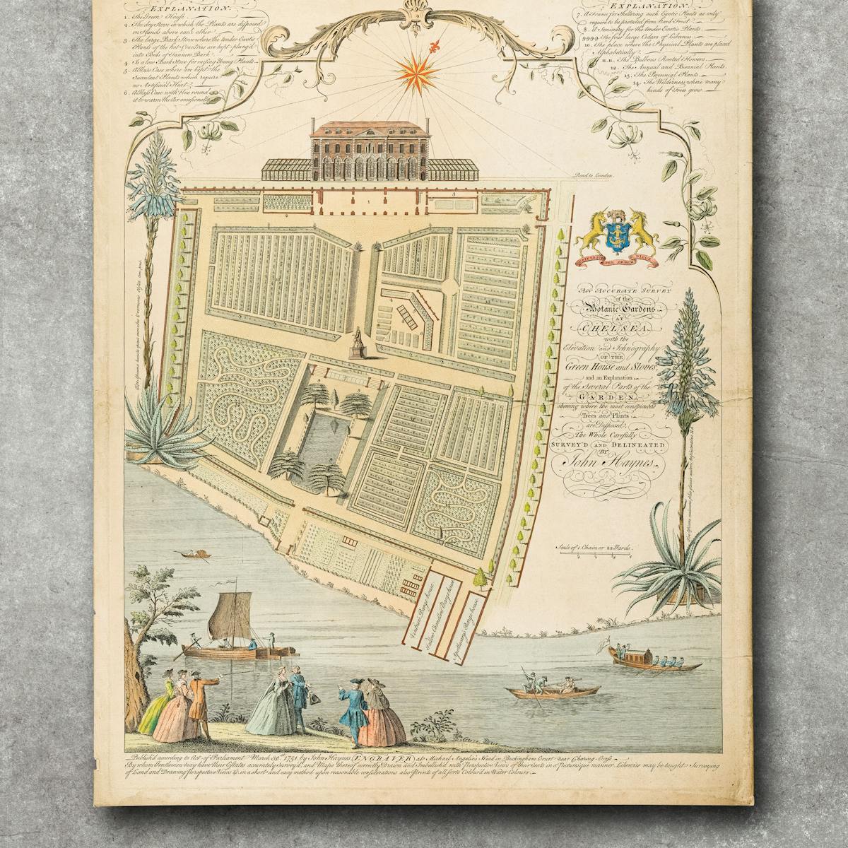 Image of a decorative, colour illustration showing plans for a formal-looking physic garden, set in front of a grand house. The illustration is pictured slightly raised against a grey concrete textured background.