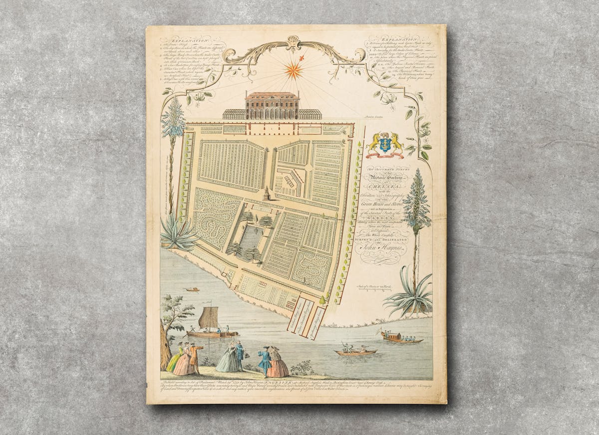 Image of a decorative, colour illustration showing plans for a formal-looking physic garden, set in front of a grand house. The illustration is pictured slightly raised against a grey concrete textured background.