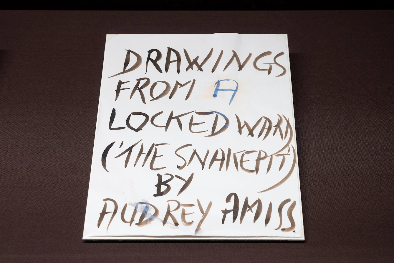 Photograph of a hand written poster promoting an exhibition, lying flat in a brown baize backed display case. The poster reads 'Drawings from a locked ward ('the snakepit') by Audrey Amiss.