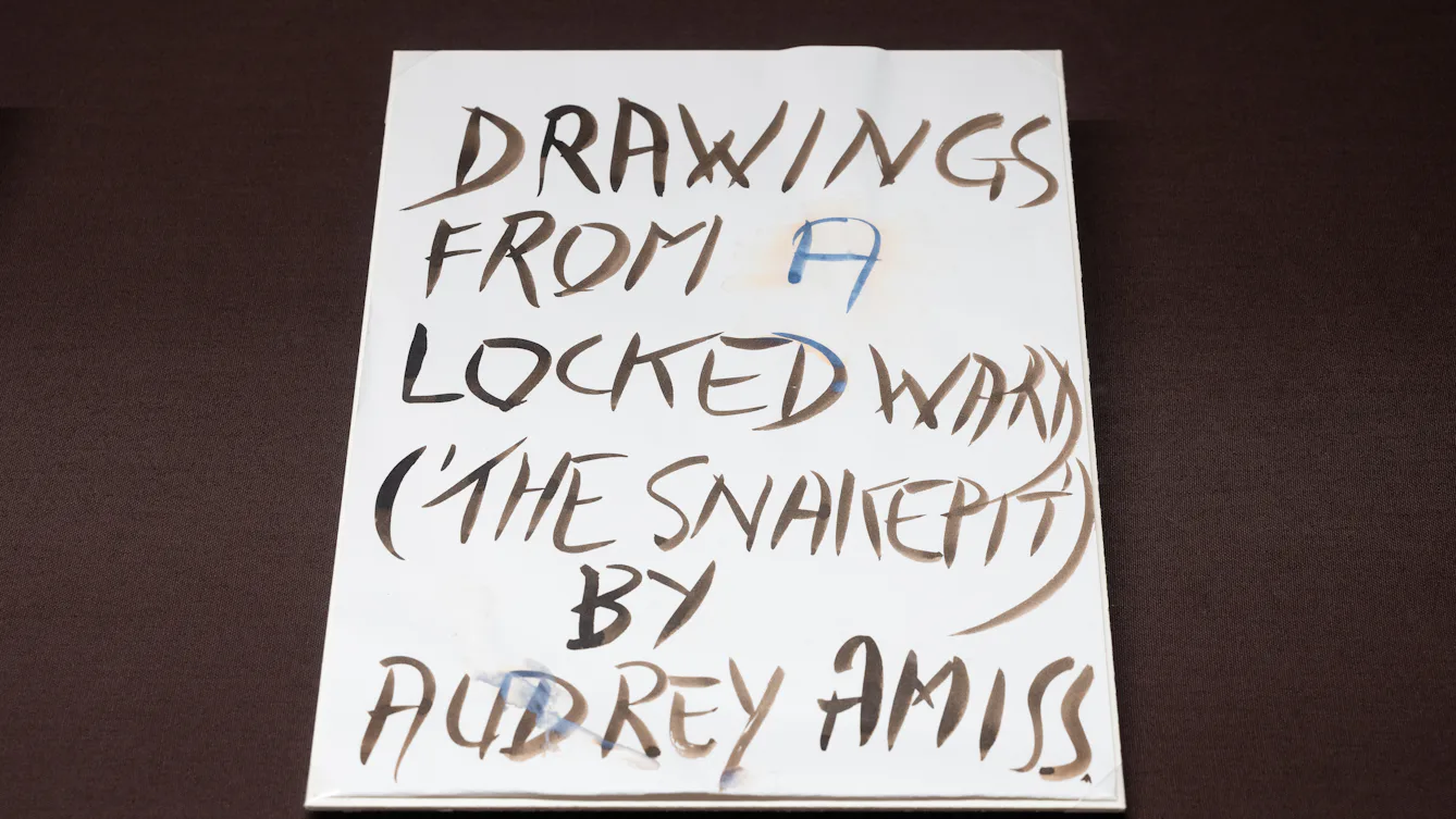 Photograph of a hand written poster promoting an exhibition, lying flat in a brown baize backed display case. The poster reads 'Drawings from a locked ward ('the snakepit') by Audrey Amiss.