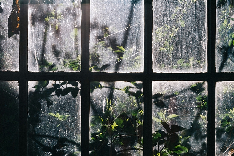 © Copyright Daniel Regan