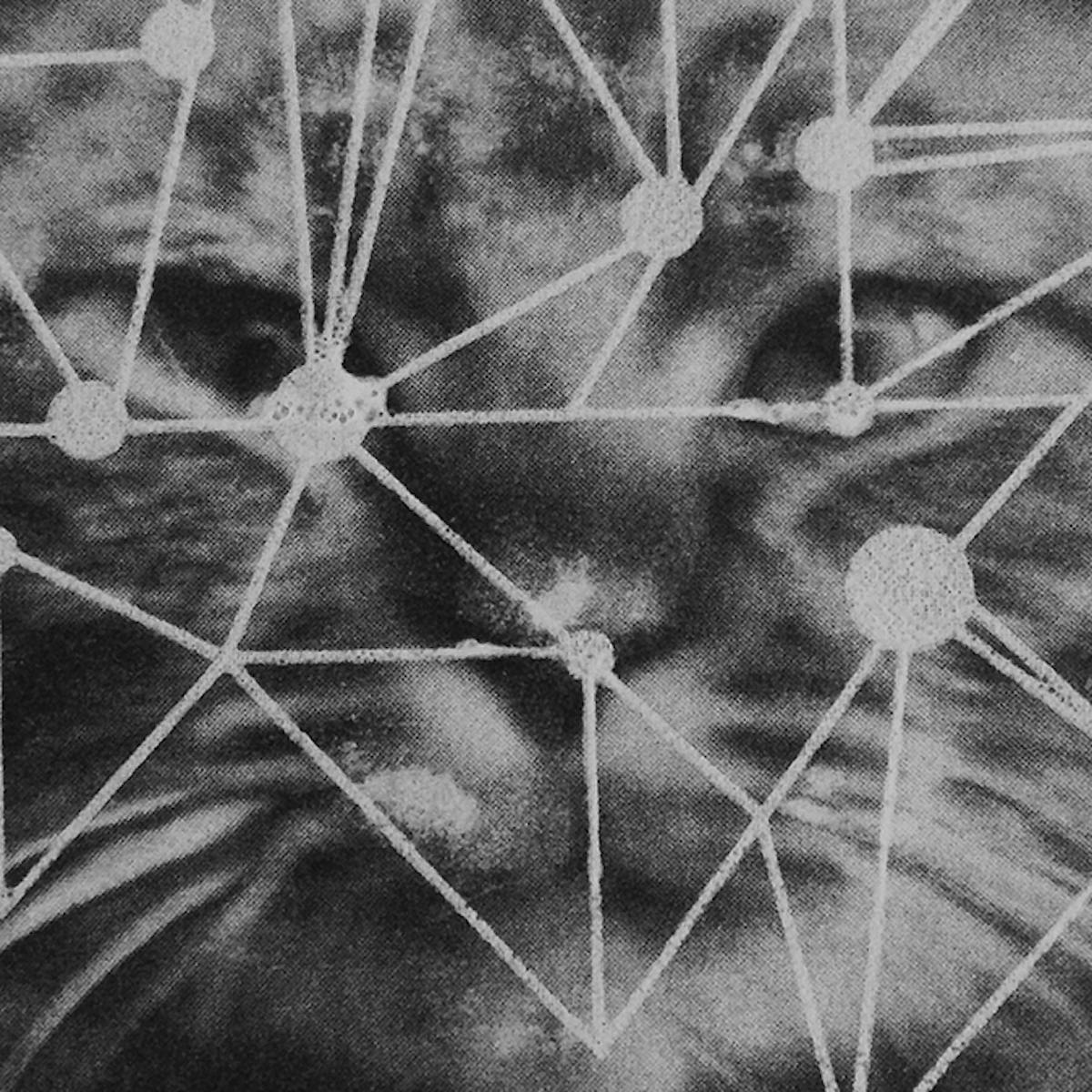 Cat from Sarah Carpenter’s ‘Antique Postcard’ series.