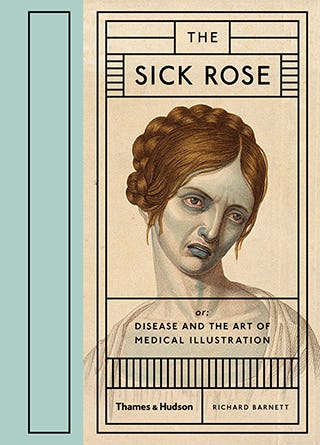 Book cover of The Sick Rose by Richard Barnett