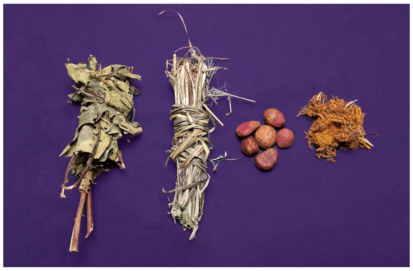 Bundles of dried herbs and fresh kola nut arranged in a row on a purple background.