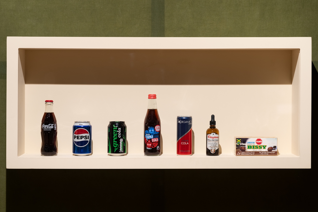 A row of products in an exhibition display that use the generic term 'cola' or contain kola nut extracts. The products are: coca-cola, pepsi cola, green cola, karma cola, simply cola, Klaytons kola bitters and Bissy kola nut herbal tea.