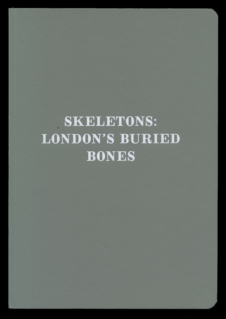 Book cover of Skeletons by Edited by Emily Sargent