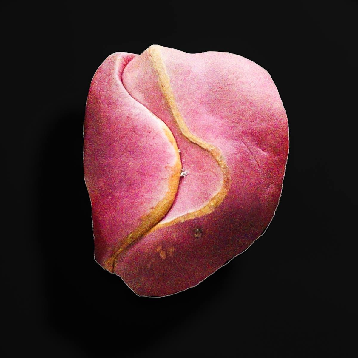 Still image from a film, showing a pinky-red kola nut floating above a black background.