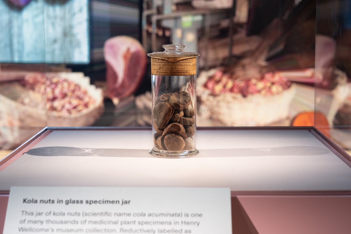 Photograph of kola nuts in glass specimen jar in a display case. The label on the jar reads ‘KOLA NUT - Noix de Kola F.C. African, Goodsample’. Behind the jar in the background there is an out of focus colourful mural.