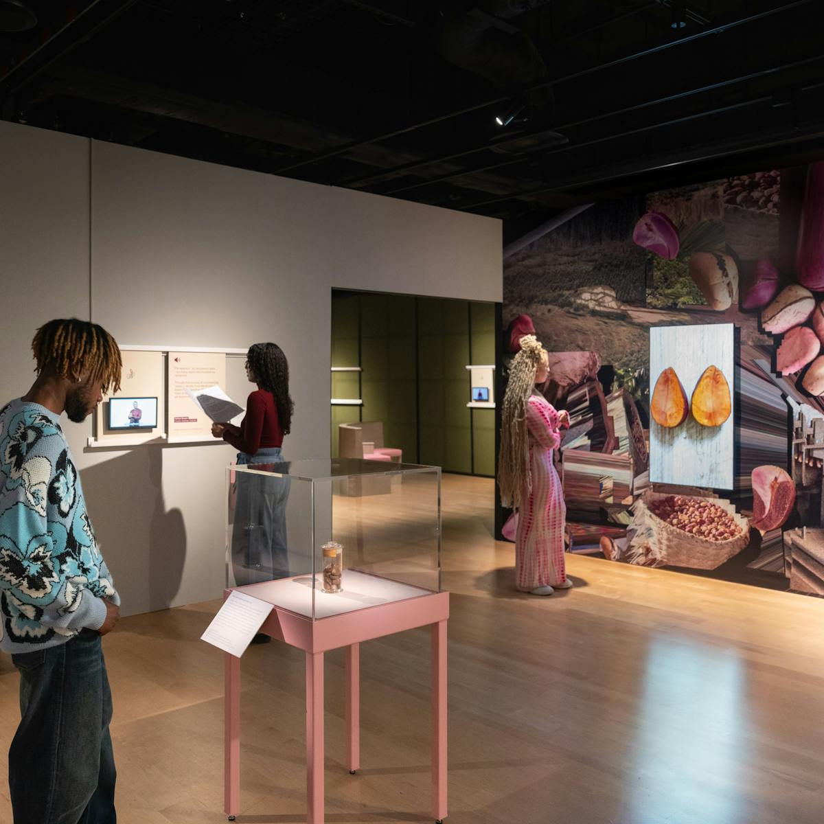 Photograph of three individuals exploring an exhibition space. One person is looking at a display case containing a specimen jar. Another person is watching and listening to a BSL-interpreted video. The third person is facing the colourful mural and watching a video animation.