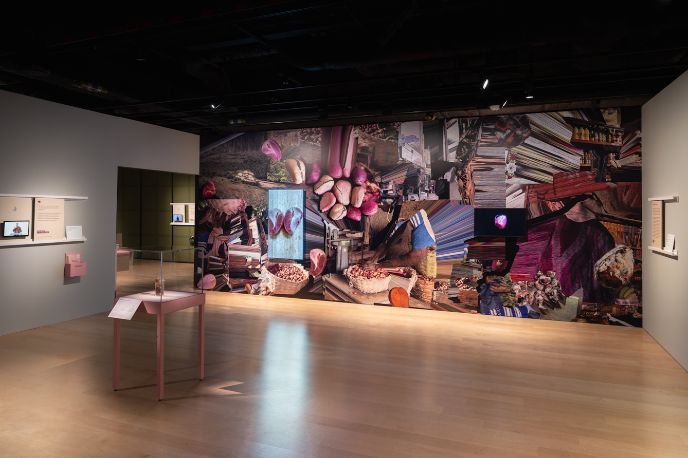 Photograph of an exhibition space. The space includes a display case containing a specimen jar; a BSL-interpreted video; and a colourful mural featuring a video animation.