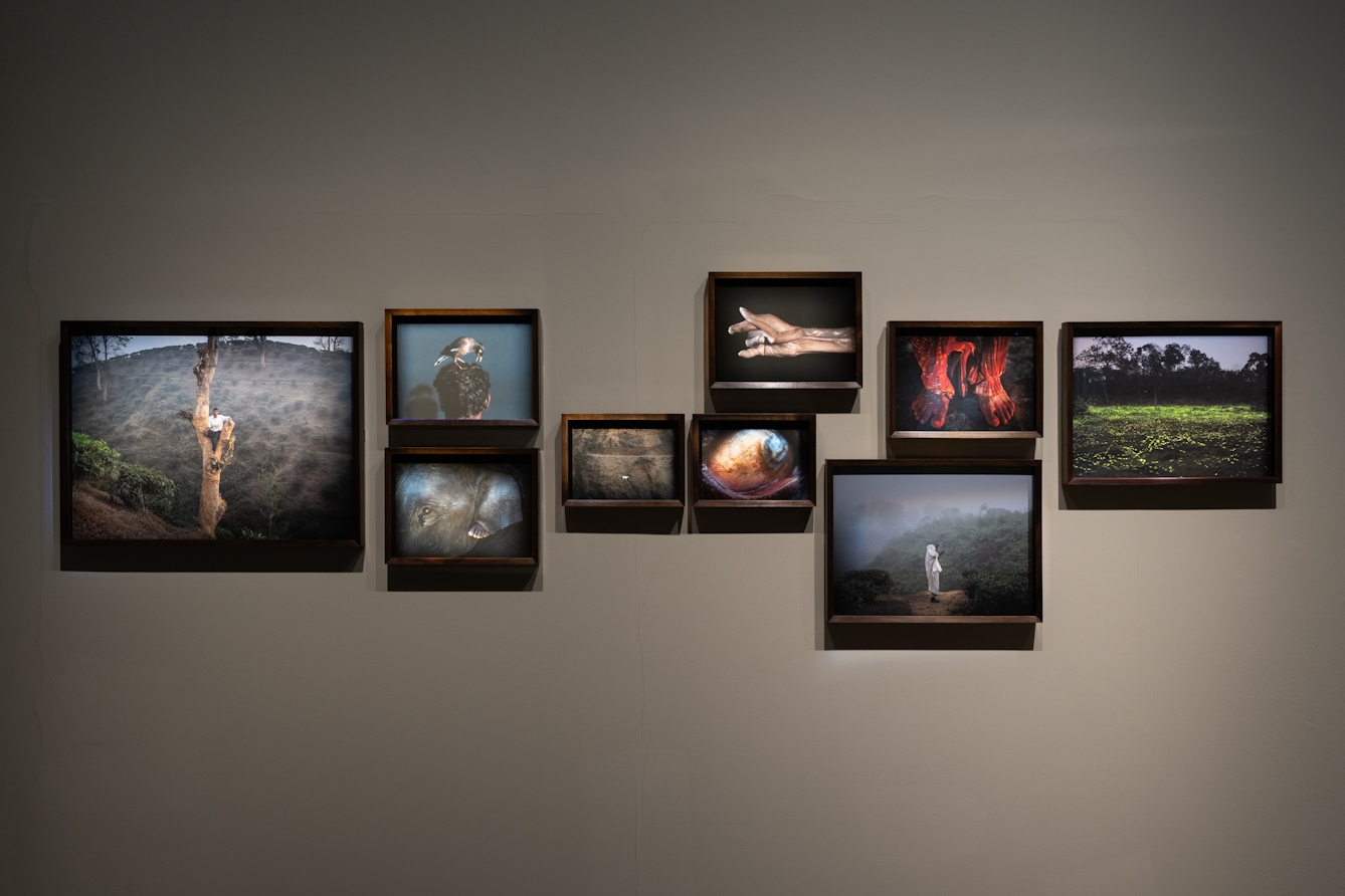 A photograph of a display of colour photographic prints, they are arranged in clusters and depict plantation workers in Bangladesh.