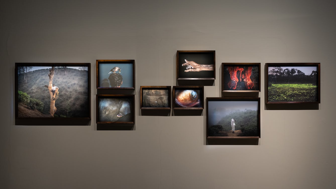 A photograph of a display of colour photographic prints, they are arranged in clusters and depict plantation workers in Bangladesh.