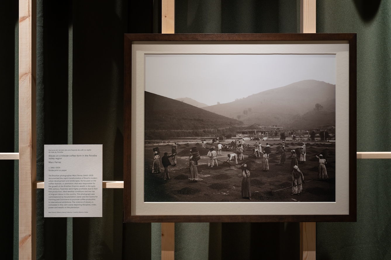 A photograph showing a picture taken by Marc Ferrez on display in 'The Plantation' section of Hard Graft. Next to it is the accompanying wall text 