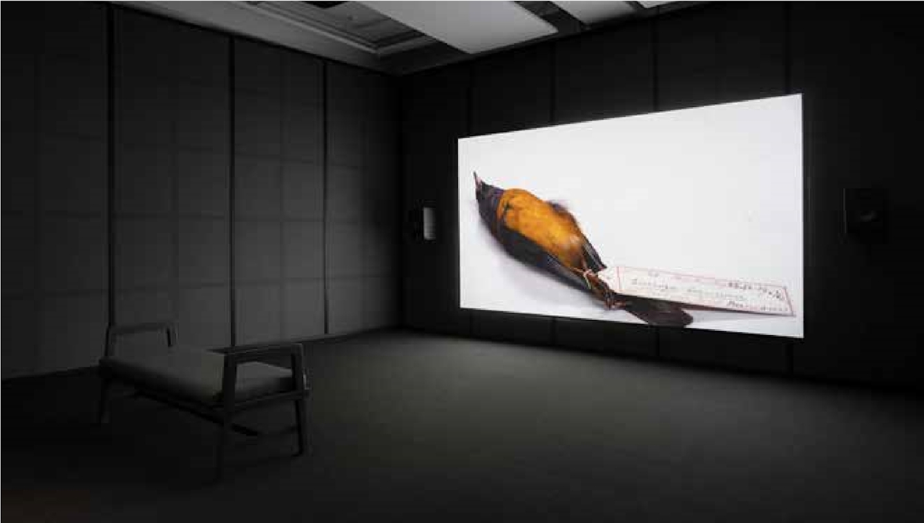 A large video screen fills most of the wall in a darkened room. Inf ront of the screen is a single bench for viewing,