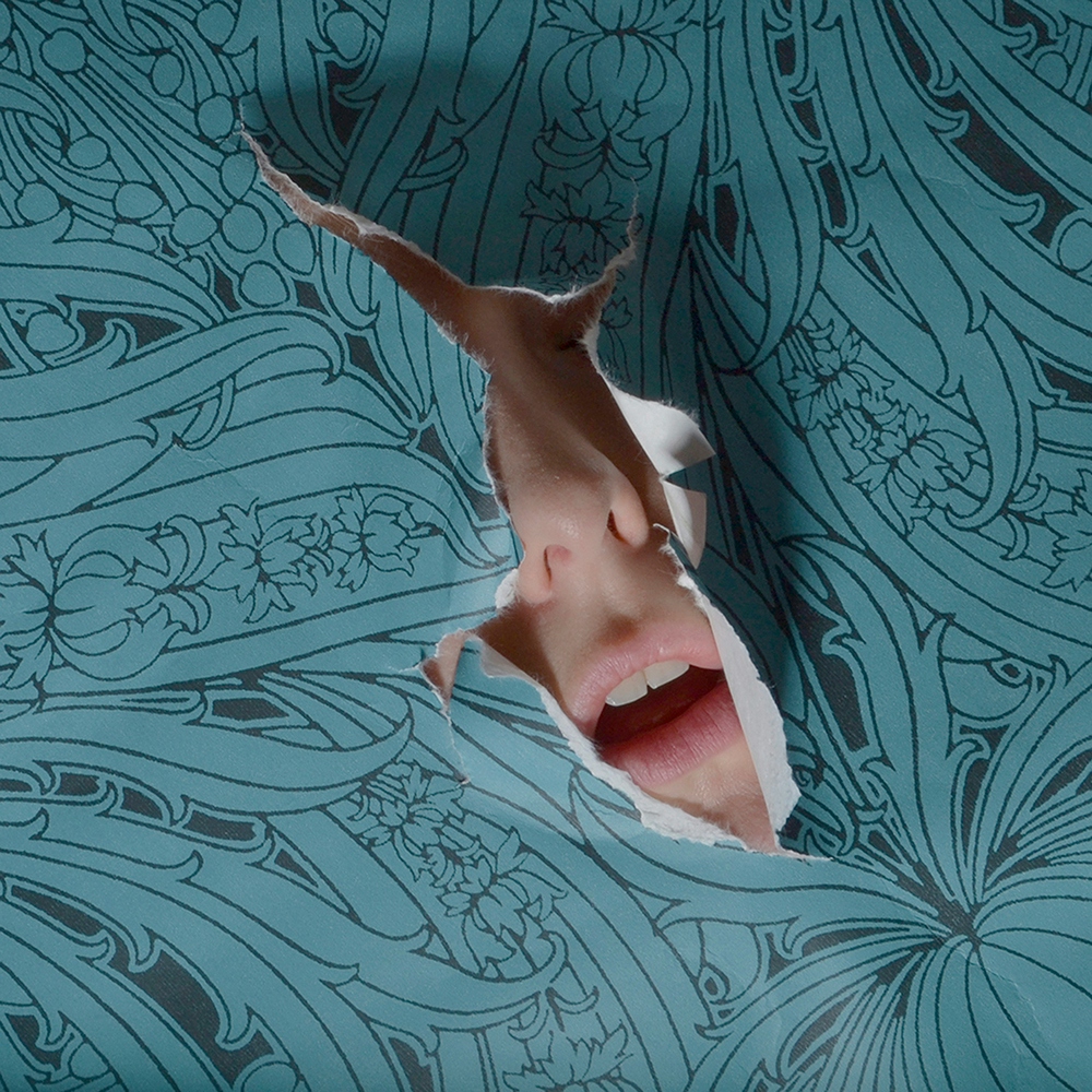 'Wallpaper' from my 'Emerging' series.