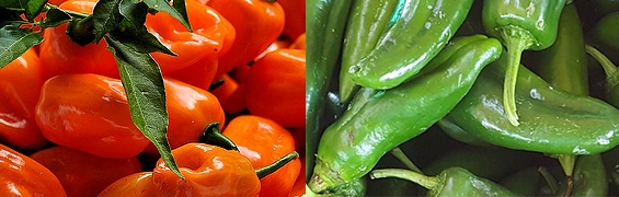 A composite image showing red habanero peppers and green jalapeño peppers