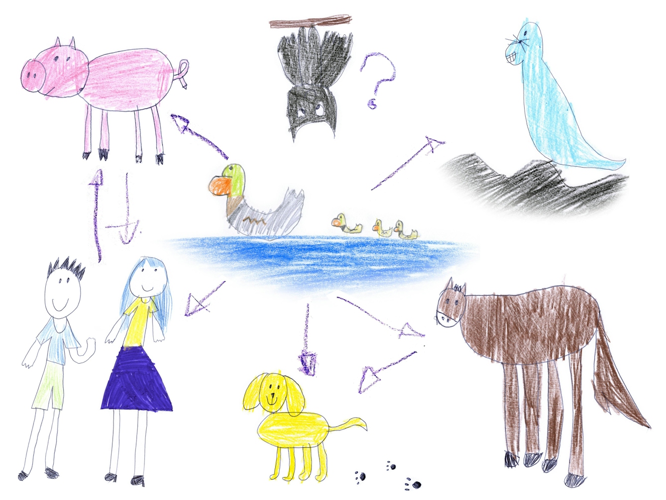A colour pencil sketch showing the ecology of influenza viruses as they circulate among pigs, bats, harbour seals, horses, dogs and people, with all represented clockwise in circle from top left. A family of ducks are pictured at the center of the drawing. There are arrows between the animals representing "cross-species jumps".