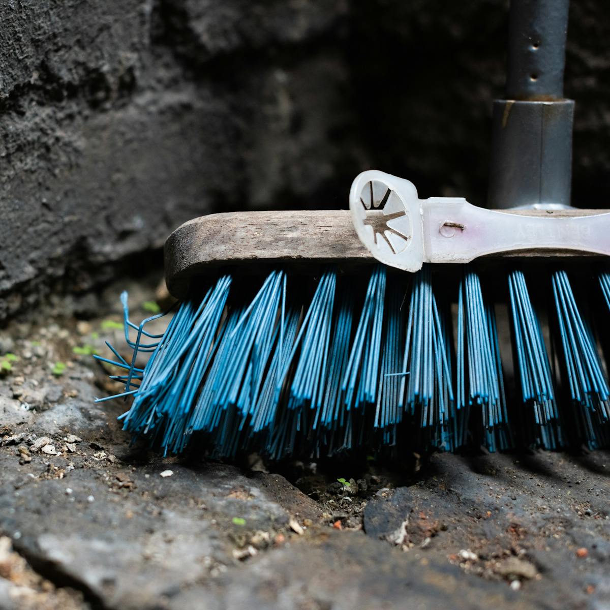Photograph of a close-up of the head on a broom standing with its blue bristles on a brick floor. The broom is leaning against a black brick wall. Between the bricks on the floor can be seen small green sprouting leaves. Attached to the wood of the broom head is a plastic contraption with a star shaped hole, possibly for holding a cloth in place.