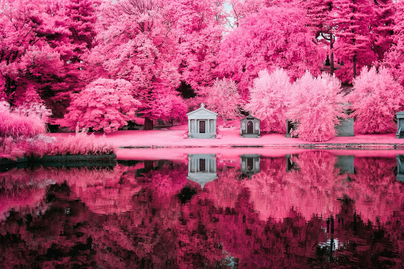 Infrared photograph of Green Wood Cemetery lake. A series of crypts in the centre of the frame are surrounded by pink trees. The whole scene is reflected in the lake which sits in the bottom half of the scene. The pink hues replacing the greens of the grass and trees are a result of the infrared technique.