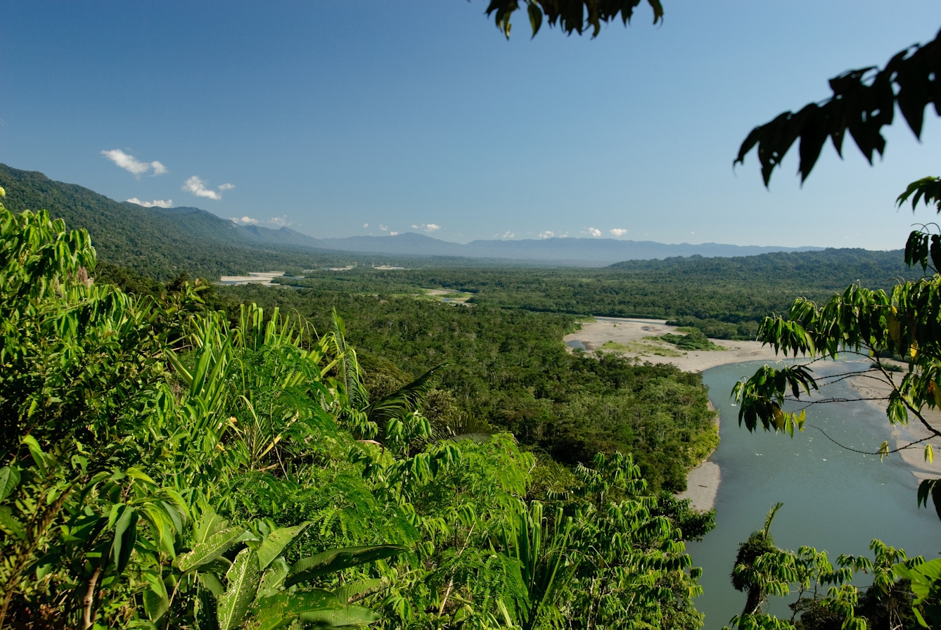 Colour photograph of the forest and river basin in Manú National Park, Río Alto Madre de Dios, with the Andes mountains in the distance.