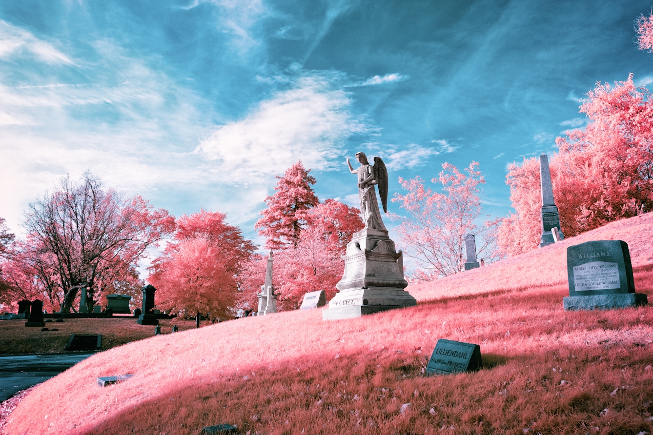 Infrared photograph of a graveyard scene. A statue of an angel is centred on a hill, facing to the left of the frame with its right hand raised. The pink hues replacing the greens of the grass and trees are a result of the infrared technique.