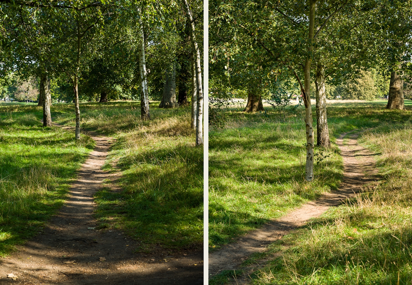 Photographic diptych. Both images show a wooded parkland scene with a rough footpath snaking away into the distance. The paths are flanked by rough grassland and trees. Each scene is lit by strong sunlight which in parts is turned into dappled shadows onto the ground by the leaf canopy. 