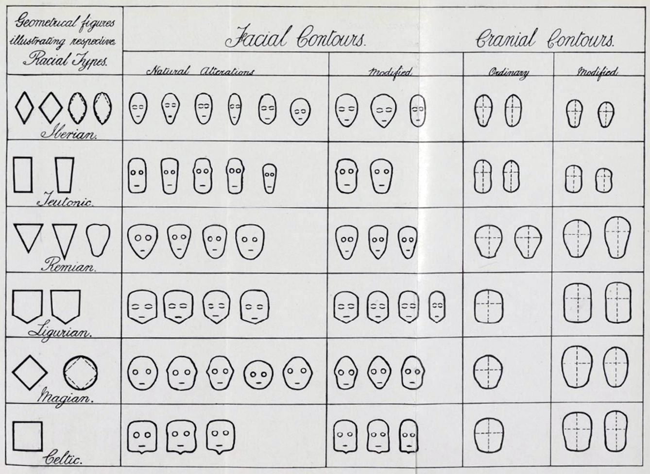 A black and white, hand drawn chart showing different head shapes.