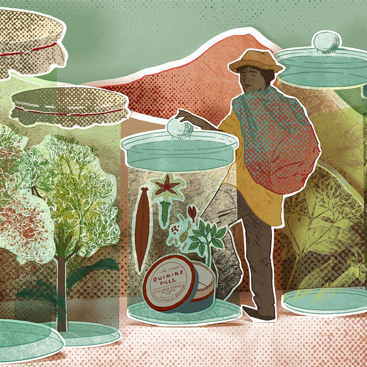 Photograph of a papercut 3D artwork. A man wearing a hat is shown standing between six large glass jars, each containing a different kind of plant. There are red mountains in the background. 