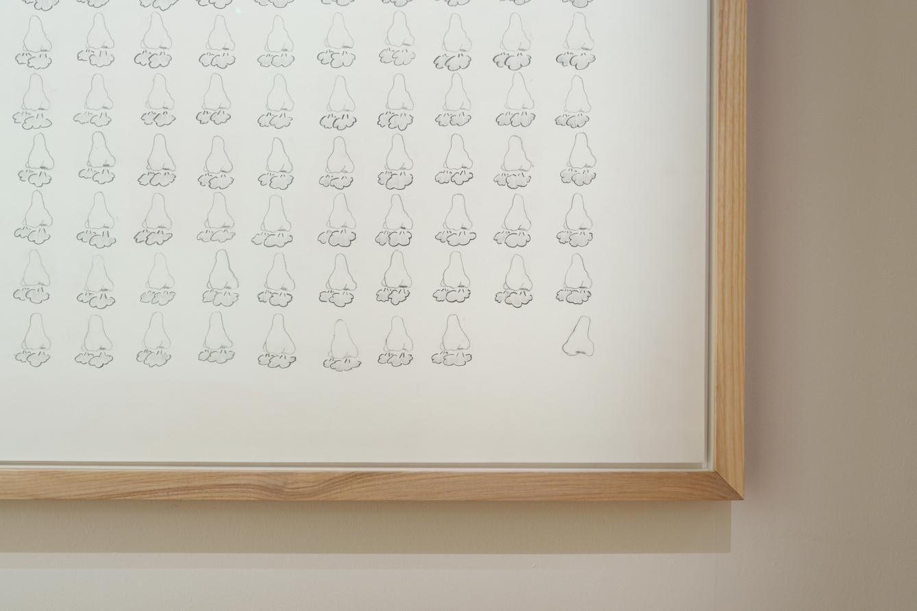 A photograph of a corner of an artwork featuring a series of illustrated noses.