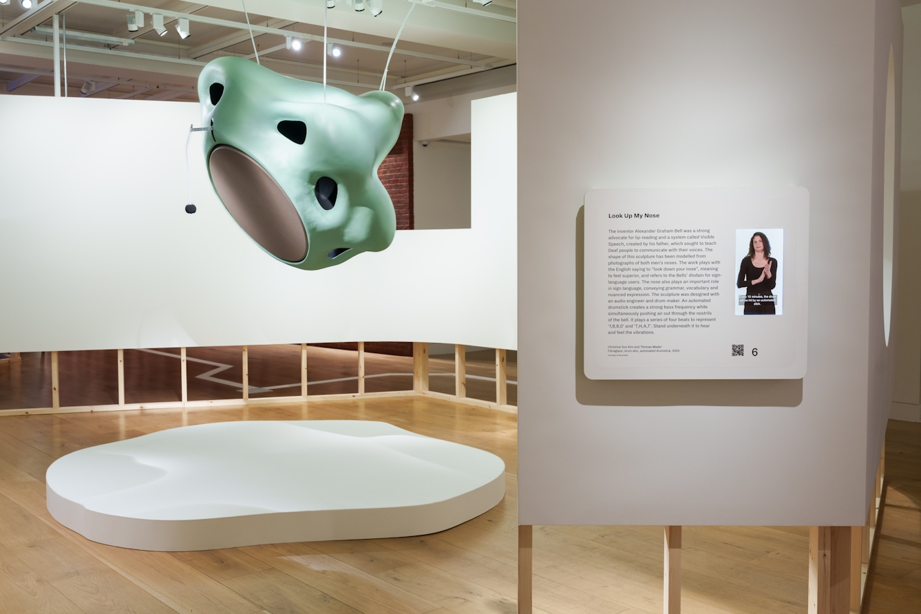 A gallery view of a large sculptural installation of noses, accompanied by an information panel featuring a BSL screen.