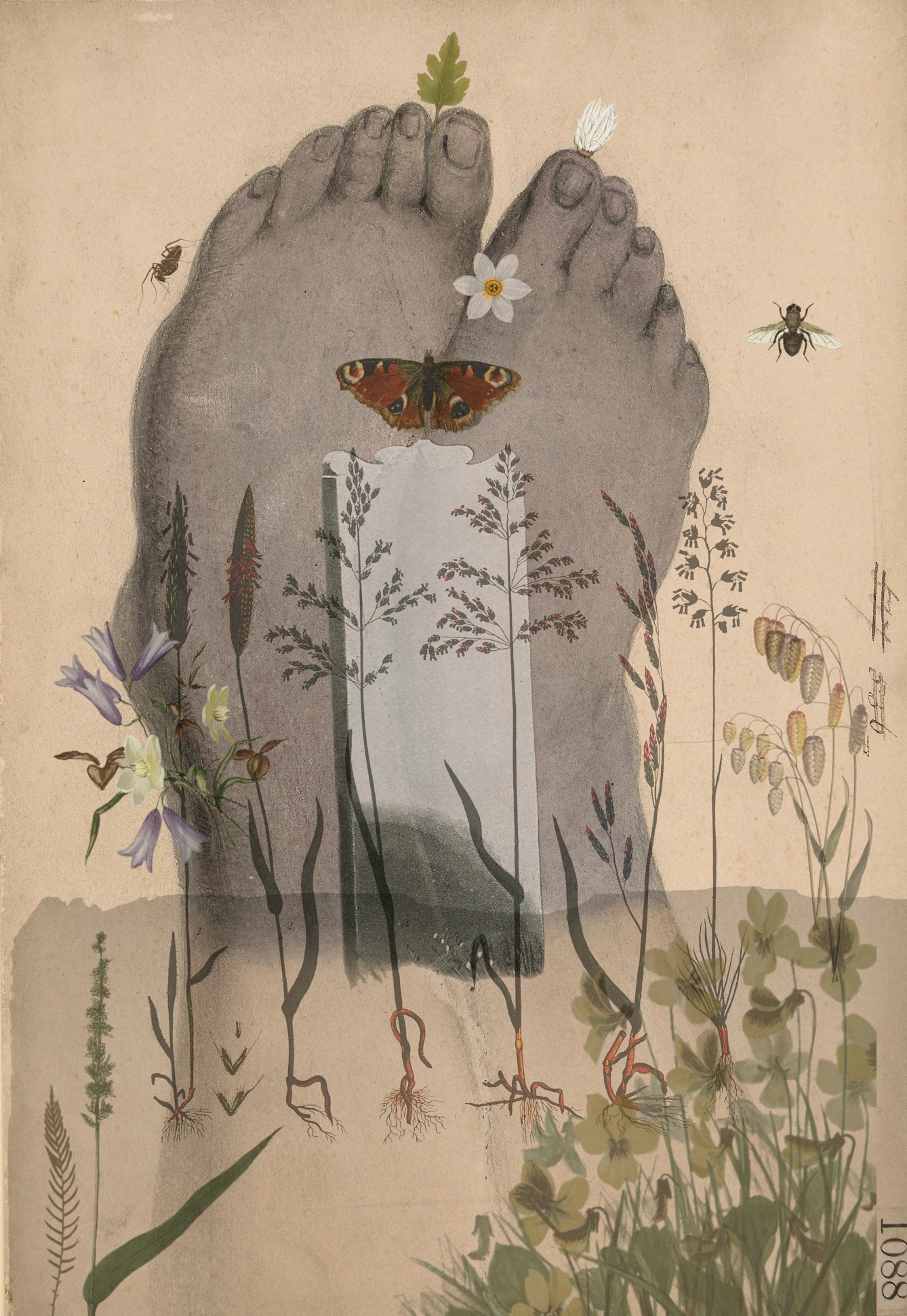 A digital art piece showing a headstone, overgrown with plants and surrounded by insects. Behind the headstone, an illustrated pair of feet are shown in grey, with small plants and flowers growing from the toes. The foreground shows plants, leaves and roots.