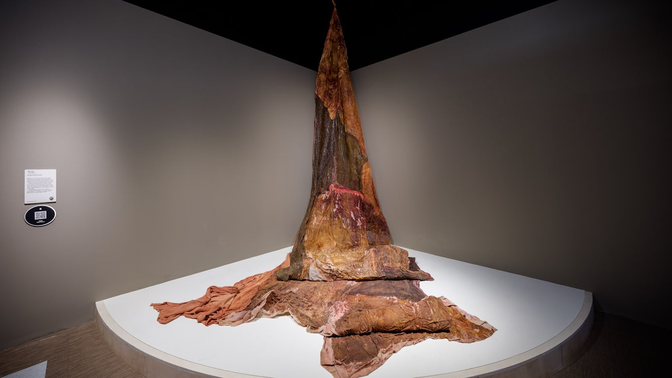 A tapestry hanging from the ceiling made from fabric, latex, tap water and salt.