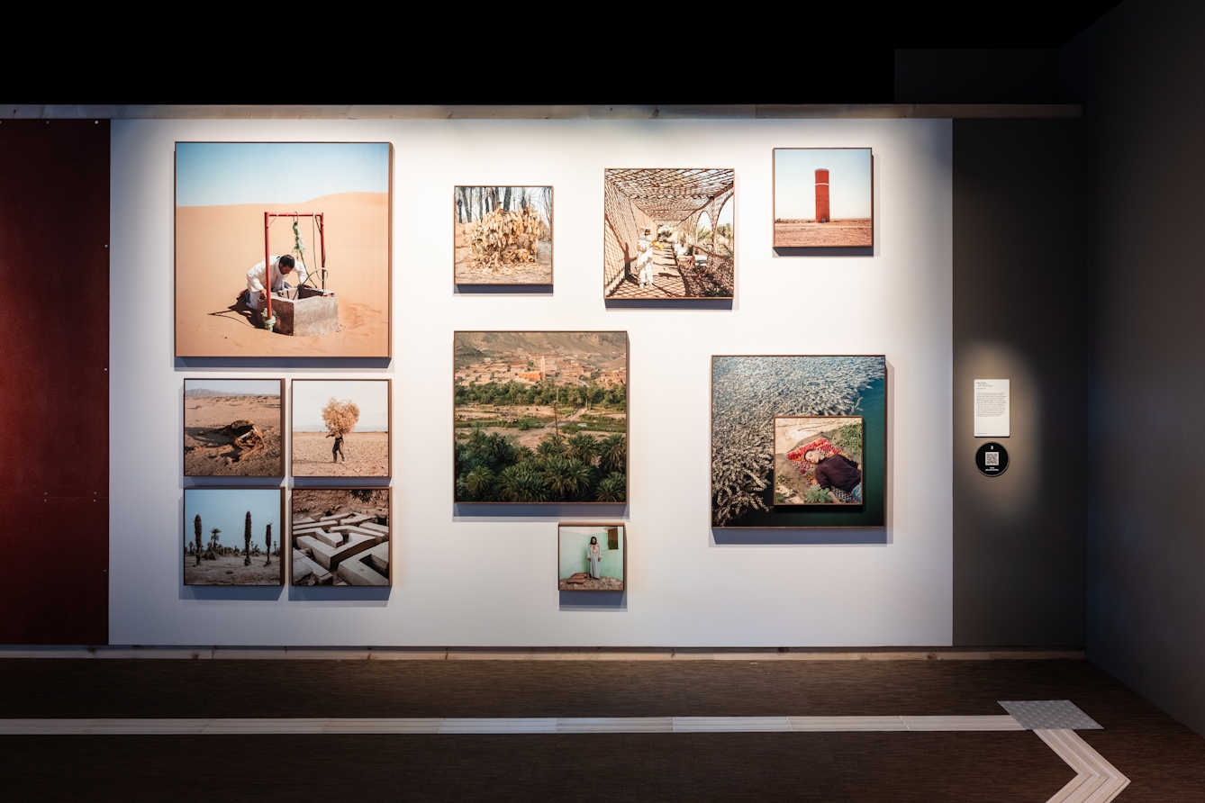 A cluster of 12 square photographs of varying sizes on a gallery wall. The images show a variety of scenes from a desert landscape environment.